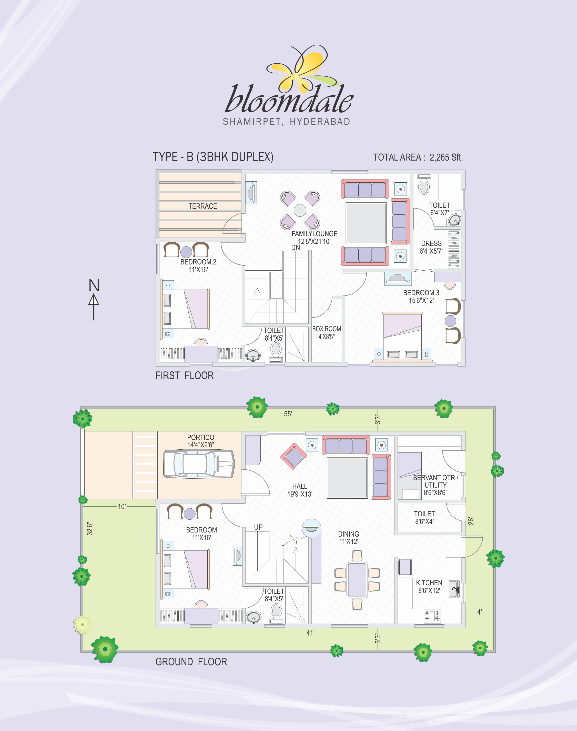 layout